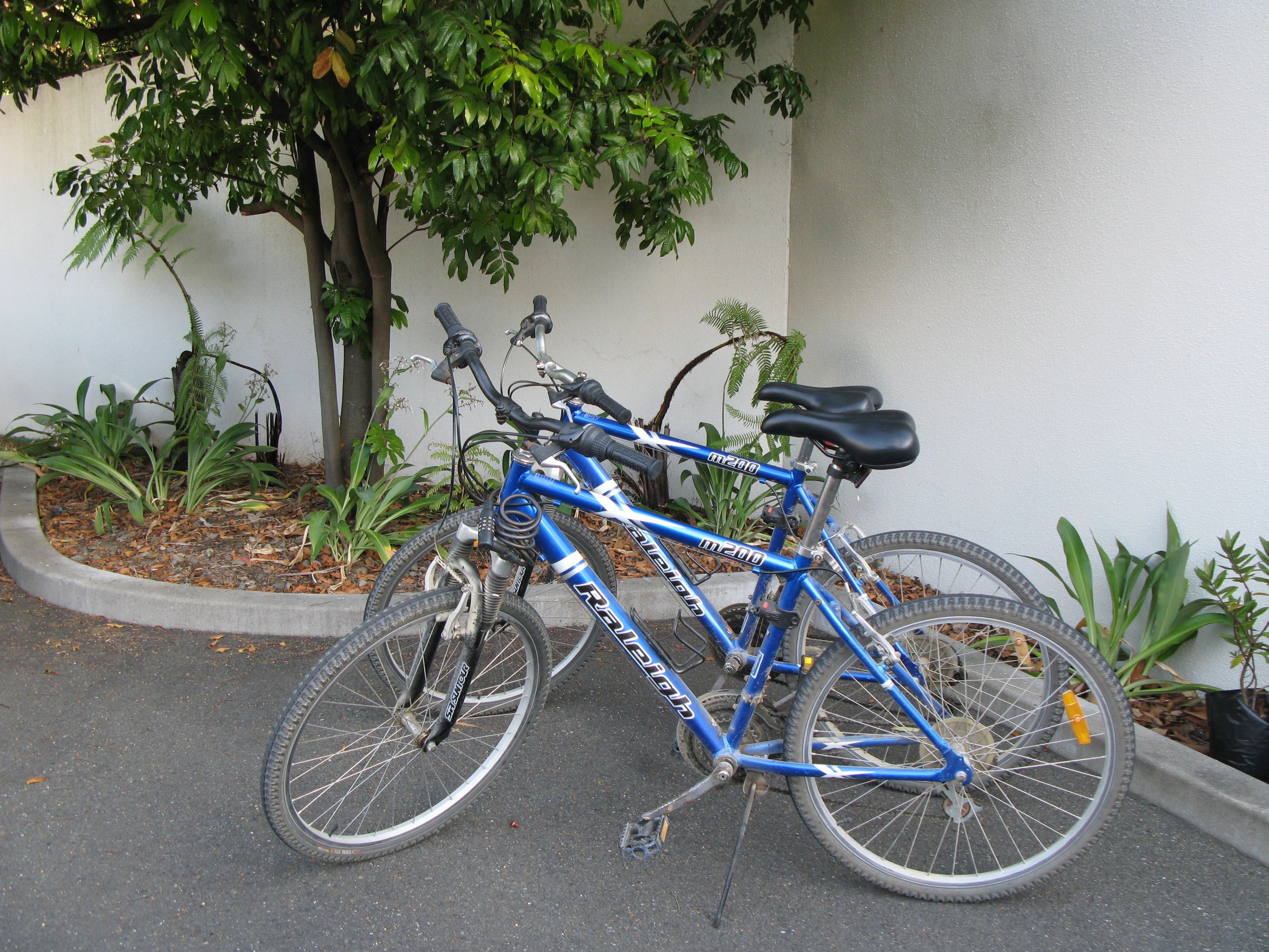 Uma bicicleta azul estacionada em área pavimentada, com uma árvore e plantas ao fundo.