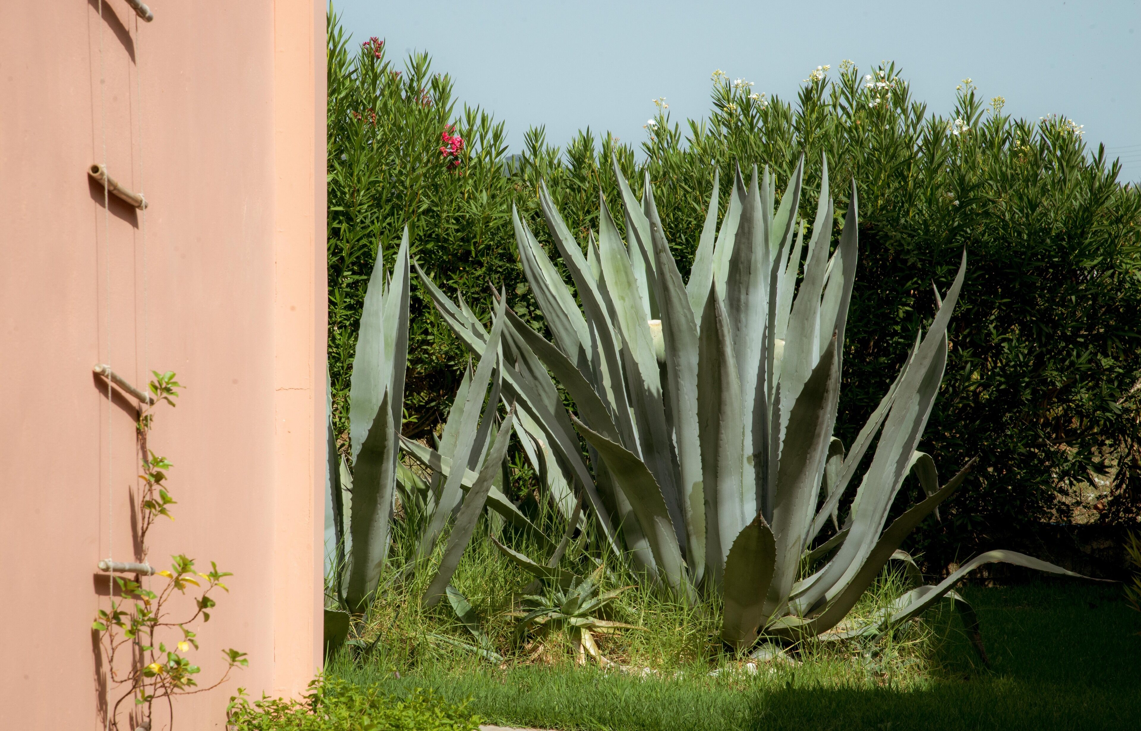 Foto - Ecoresort Hotel Zefyros