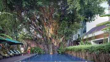 Hồ bơi ngoài trời, mở cửa từ 8:00 đến 19:00, dù/ô trên bãi biển/hồ bơi