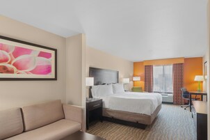 套房, 1 张特大床和 1 张沙发床 (Wet Bar) | 办公桌、笔记本电脑工作区、熨斗/熨衣板、免费折叠床/加床