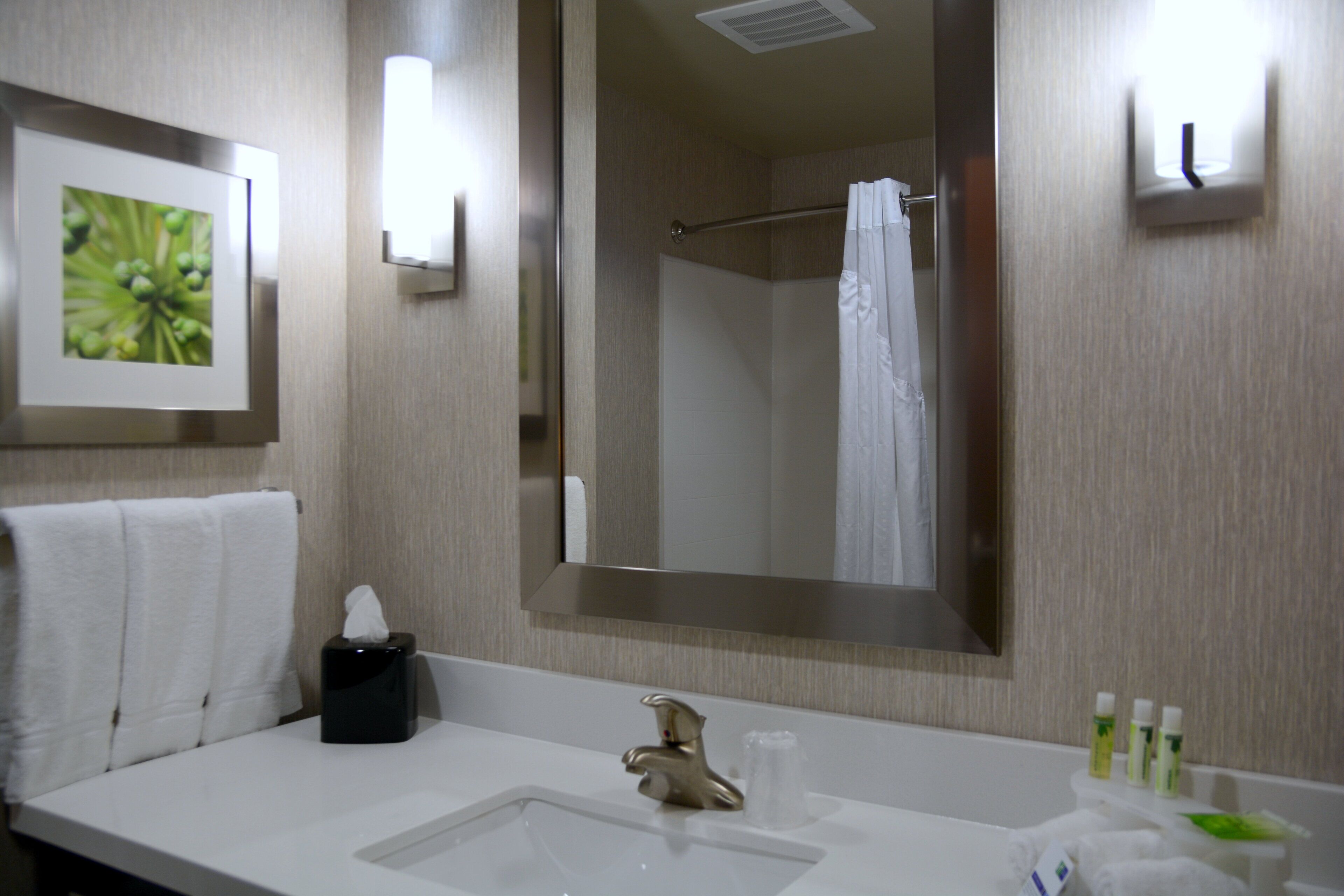 A bathroom with a sink, mirror, towel, and a picture of a plant.