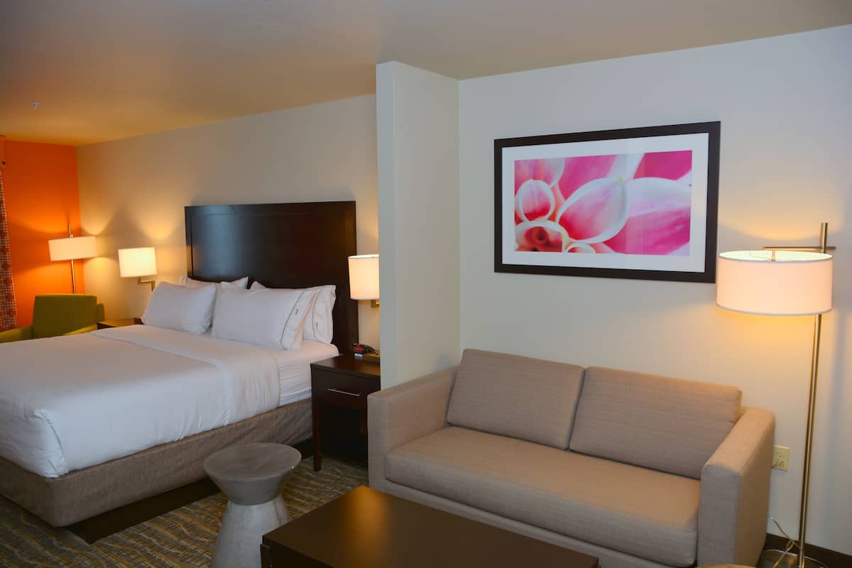 Suite, 1 King Bed with Sofa bed (Wet Bar) | Desk, laptop workspace, iron/ironing board, free rollaway beds
