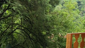 A person lying on a hammock in a garden area with a wooden deck and dense foliage in the background. - Pousada Princesa Isabel - Visconde (Petrópolis)