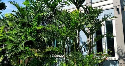 Blue House Sukhothai