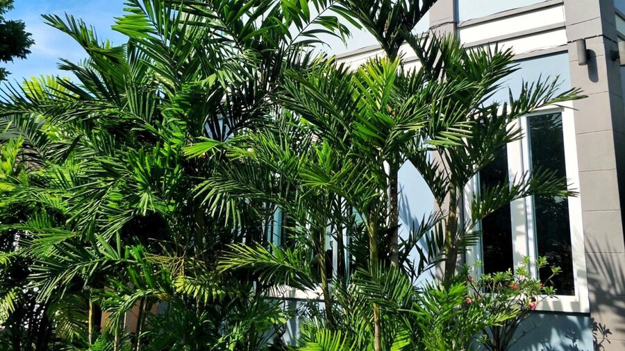 Blue House Sukhothai