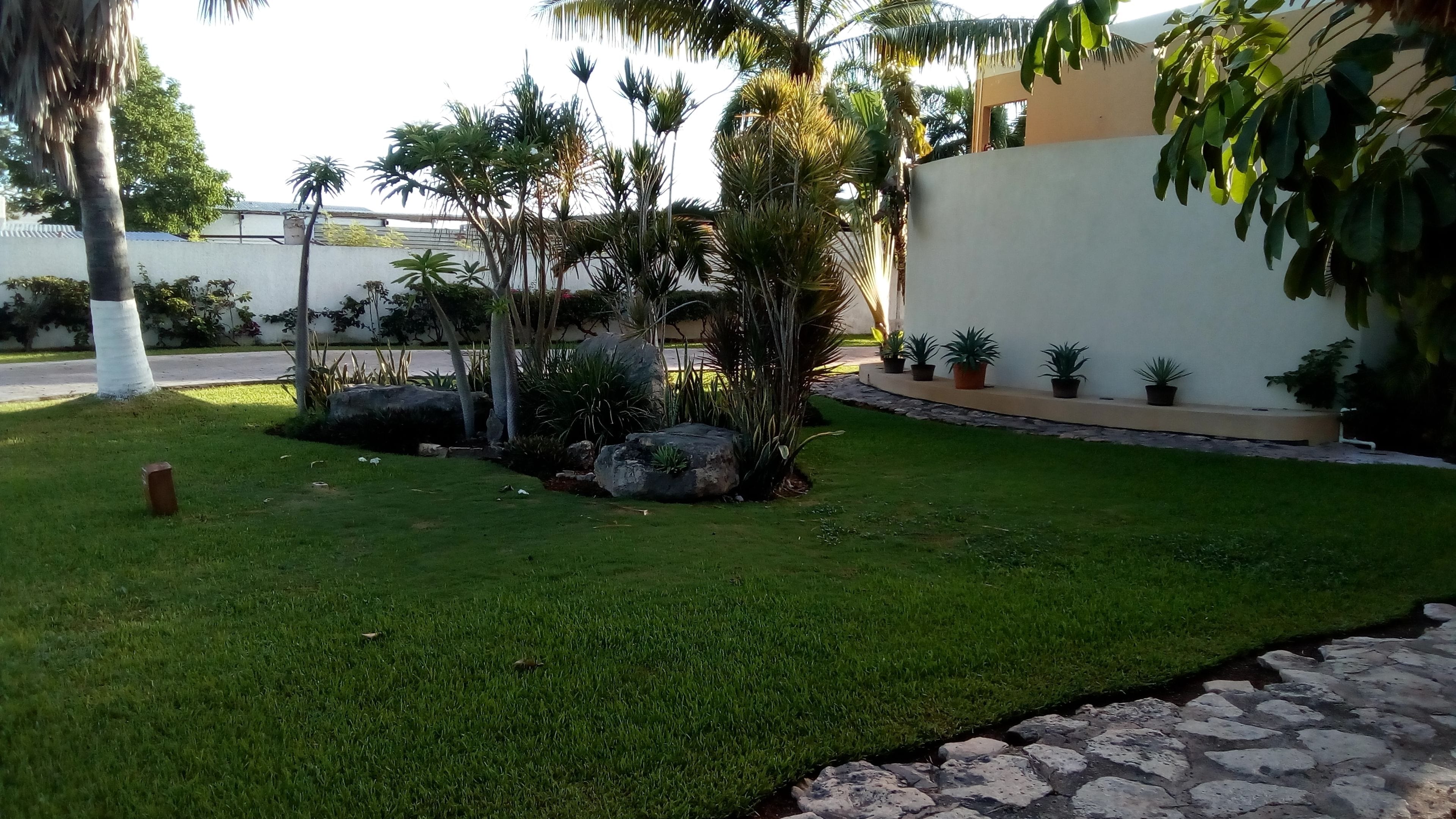 Un jardín bien cuidado con diversas plantas y un sendero de piedra.