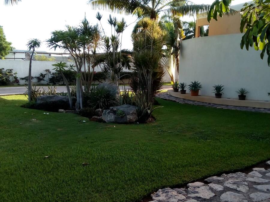 Un jardín bien cuidado con diversas plantas y un sendero de piedra.