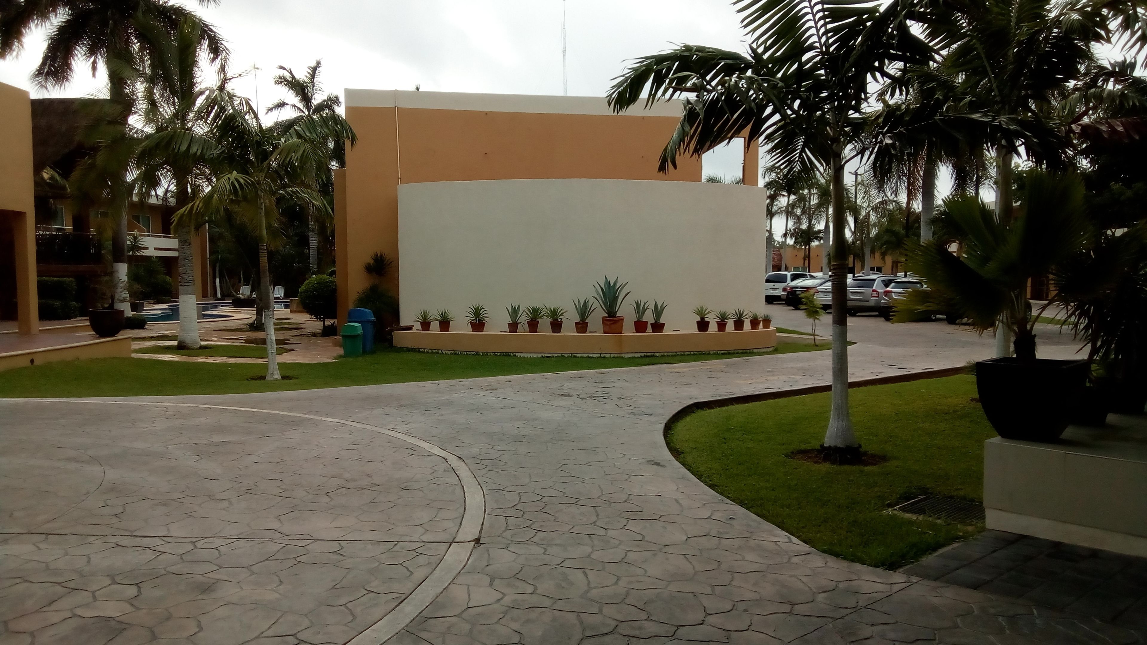 Un patio empedrado con palmeras y plantas en macetas, un edificio de techo plano y un estacionamiento con coches.