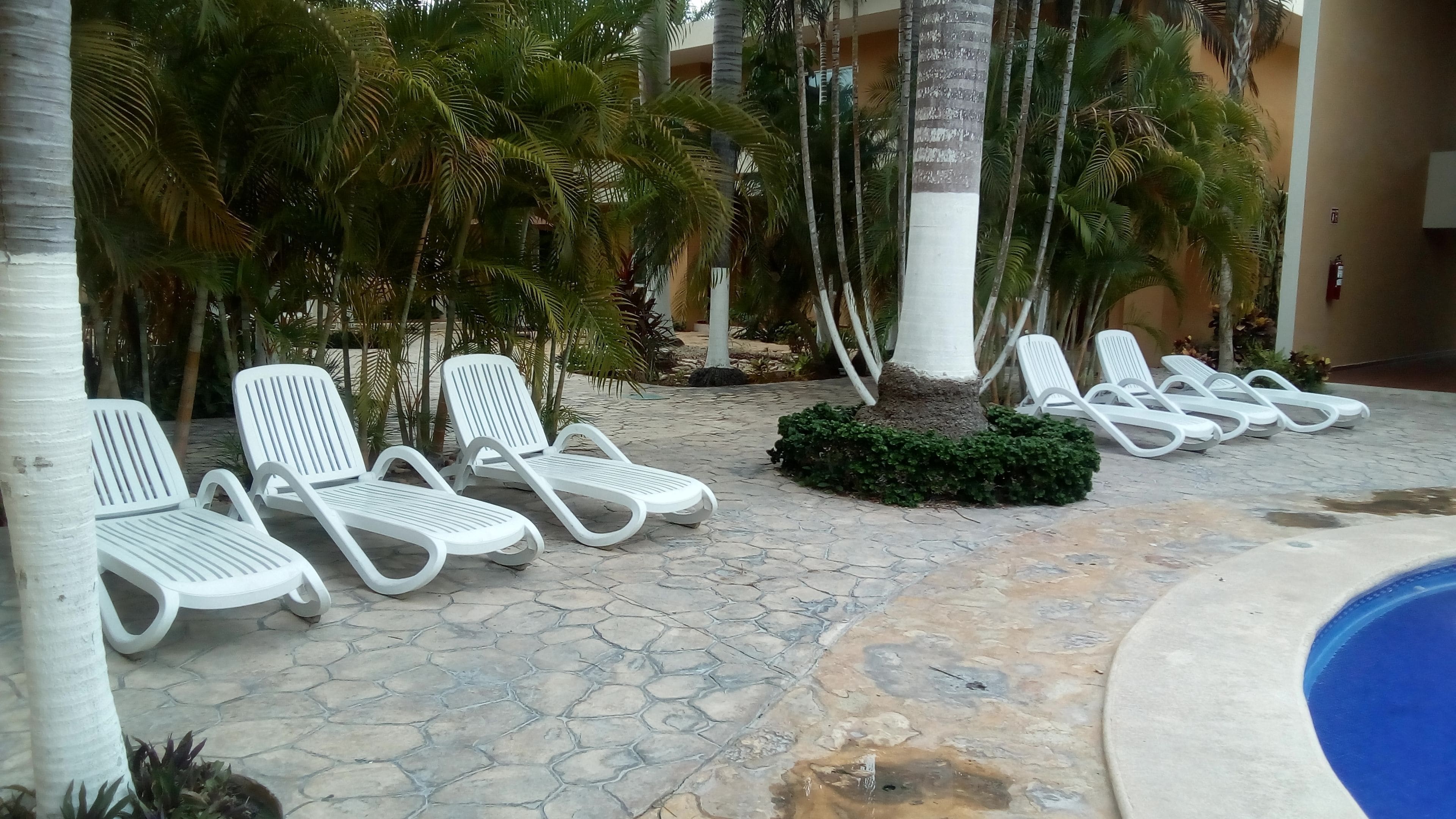 Zona de piscina con sillones blancos y palmeras.