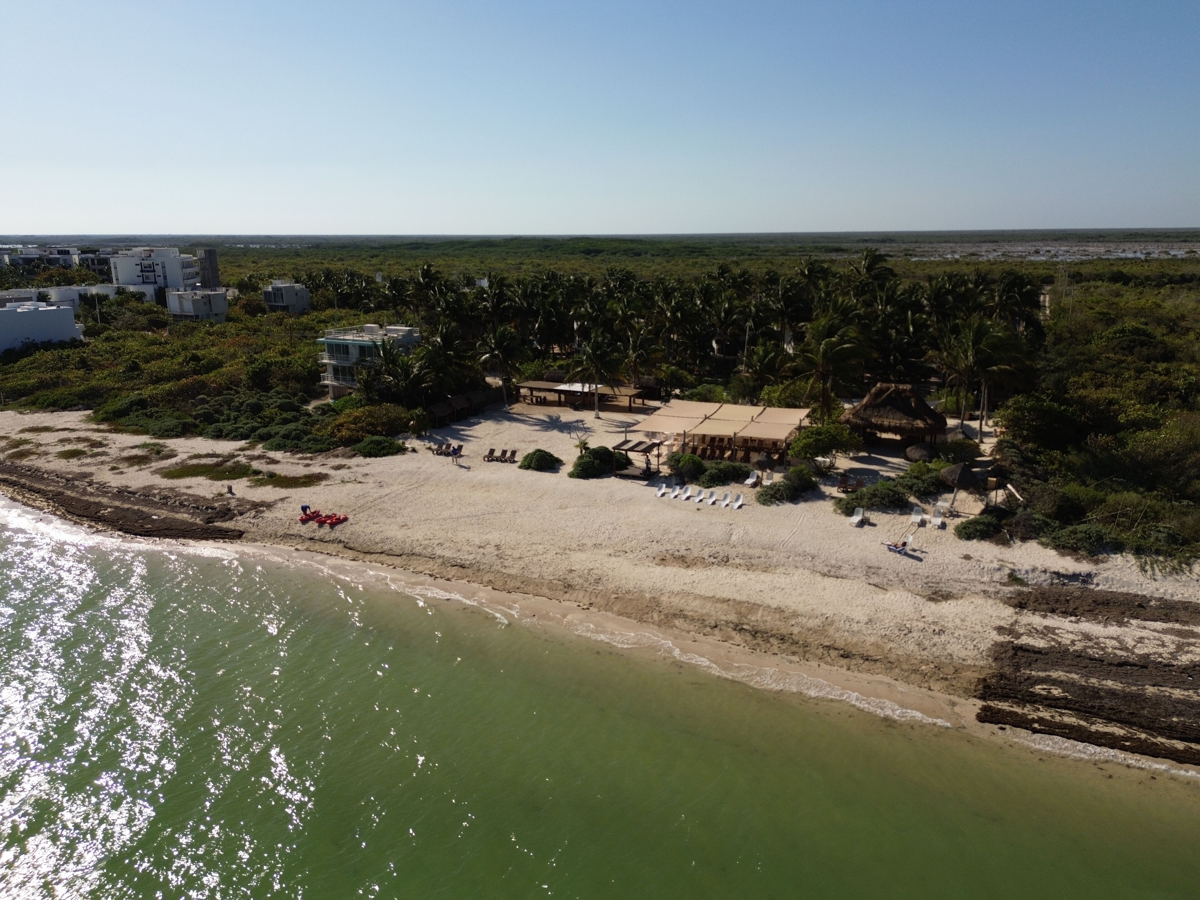 An aerial view of a beach with a building, palm trees, and a clear sky.