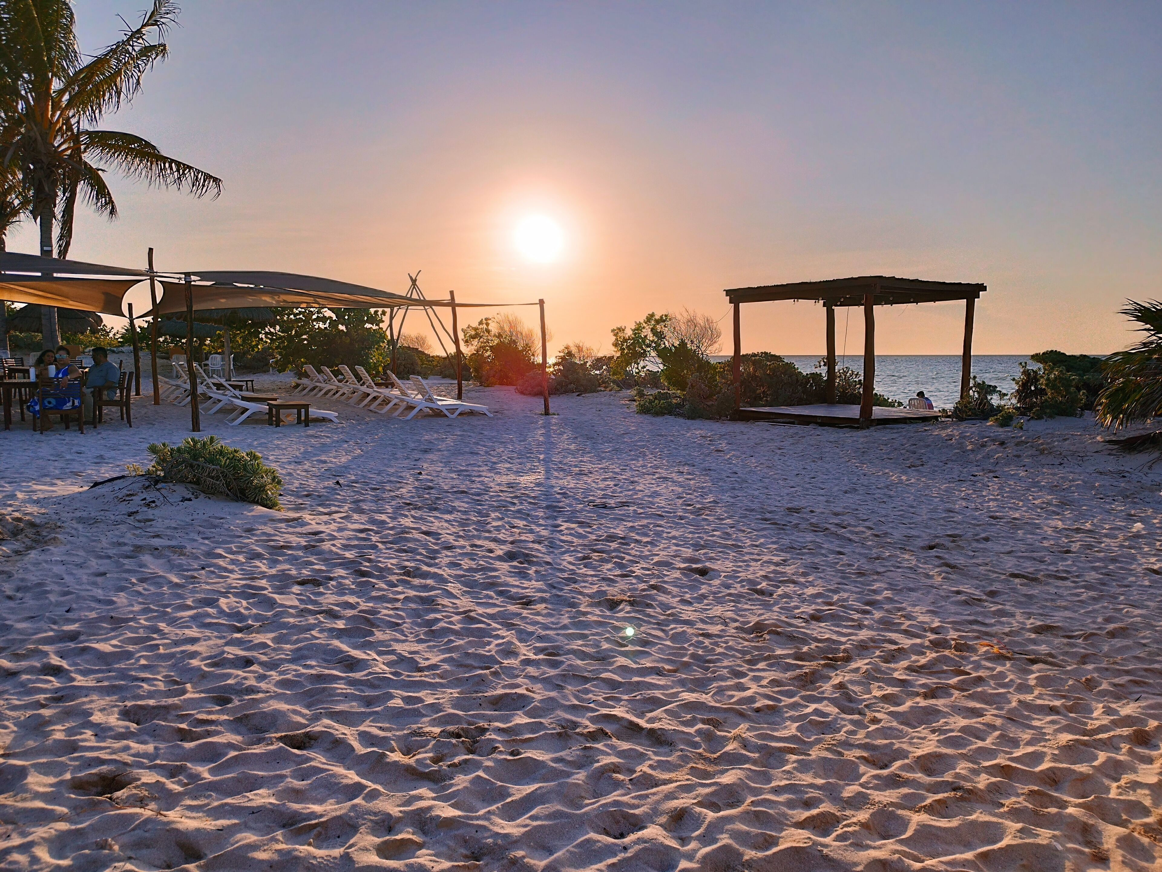 A beach with sun loungers and a gazebo, a palm tree, and a clear sky.