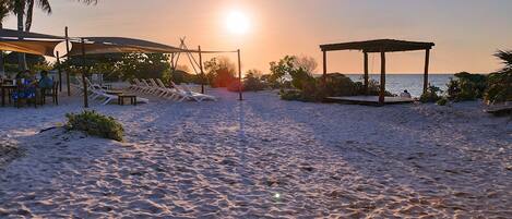 A beach with sun loungers and a gazebo, a palm tree, and a clear sky.
