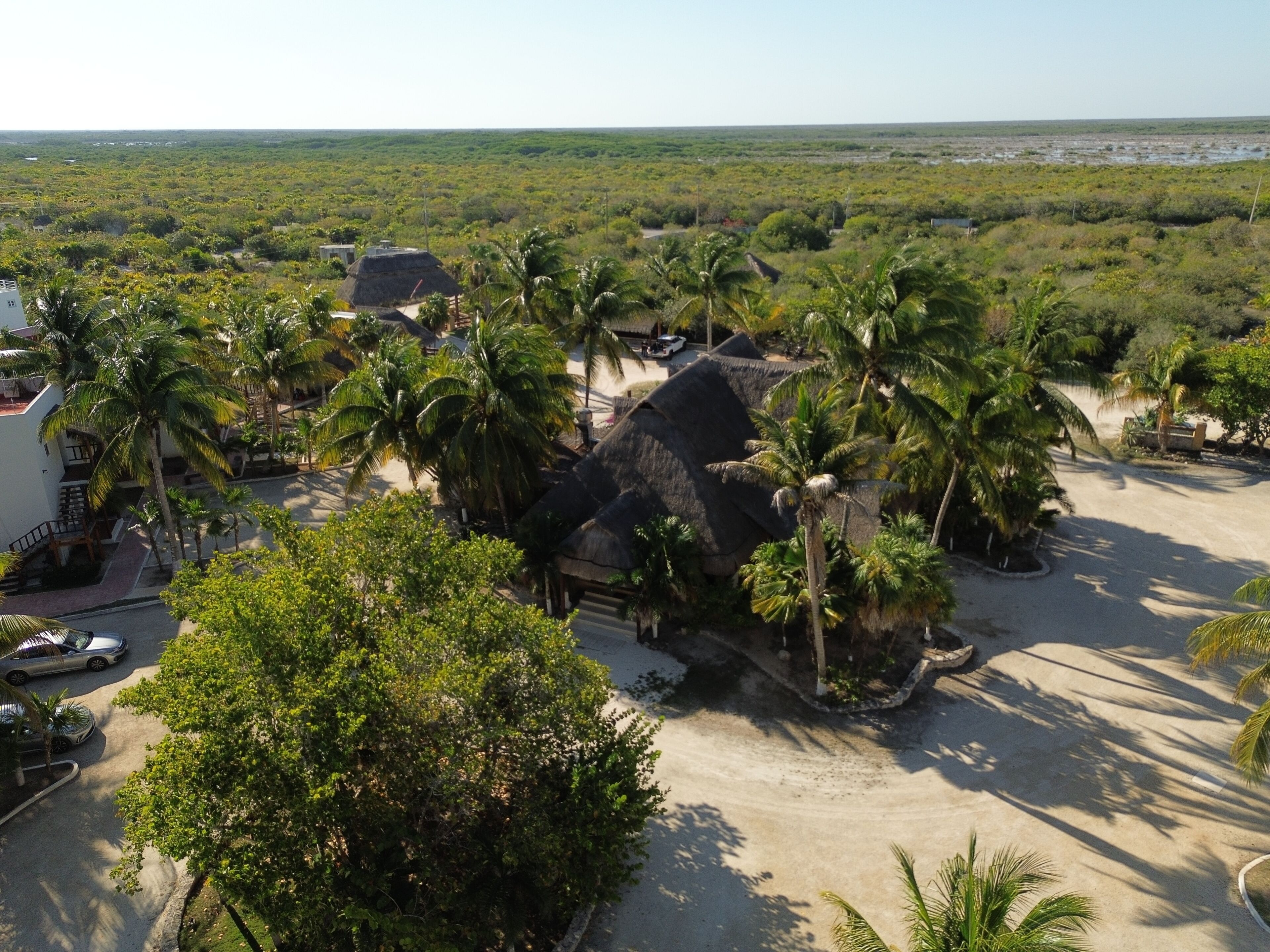 Um resort tropical com edifícios de telhado de palha, palmeiras e uma praia de areia.