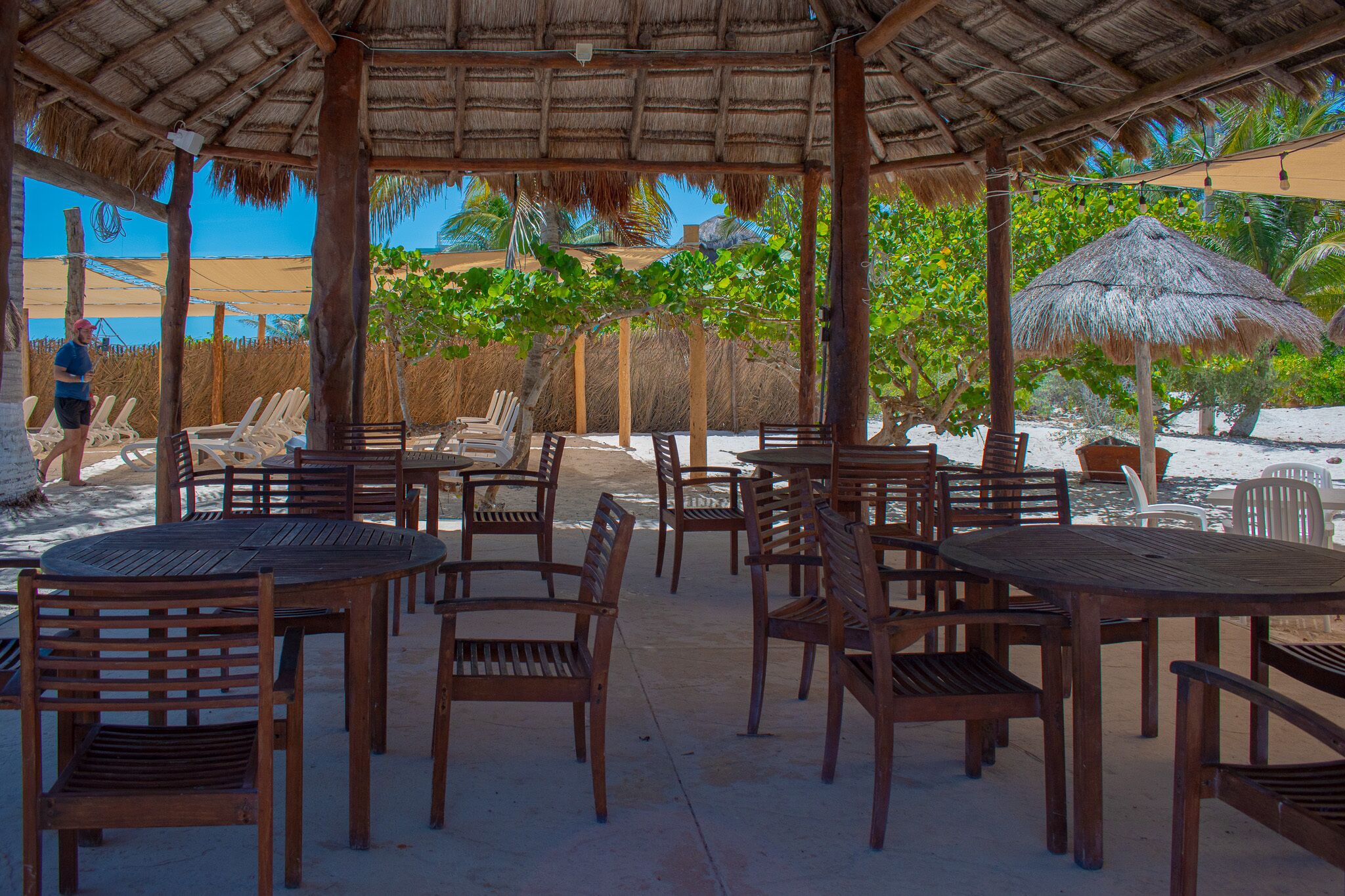 An outdoor seating area with wooden tables and chairs, surrounded by thatched umbrellas and palm trees.