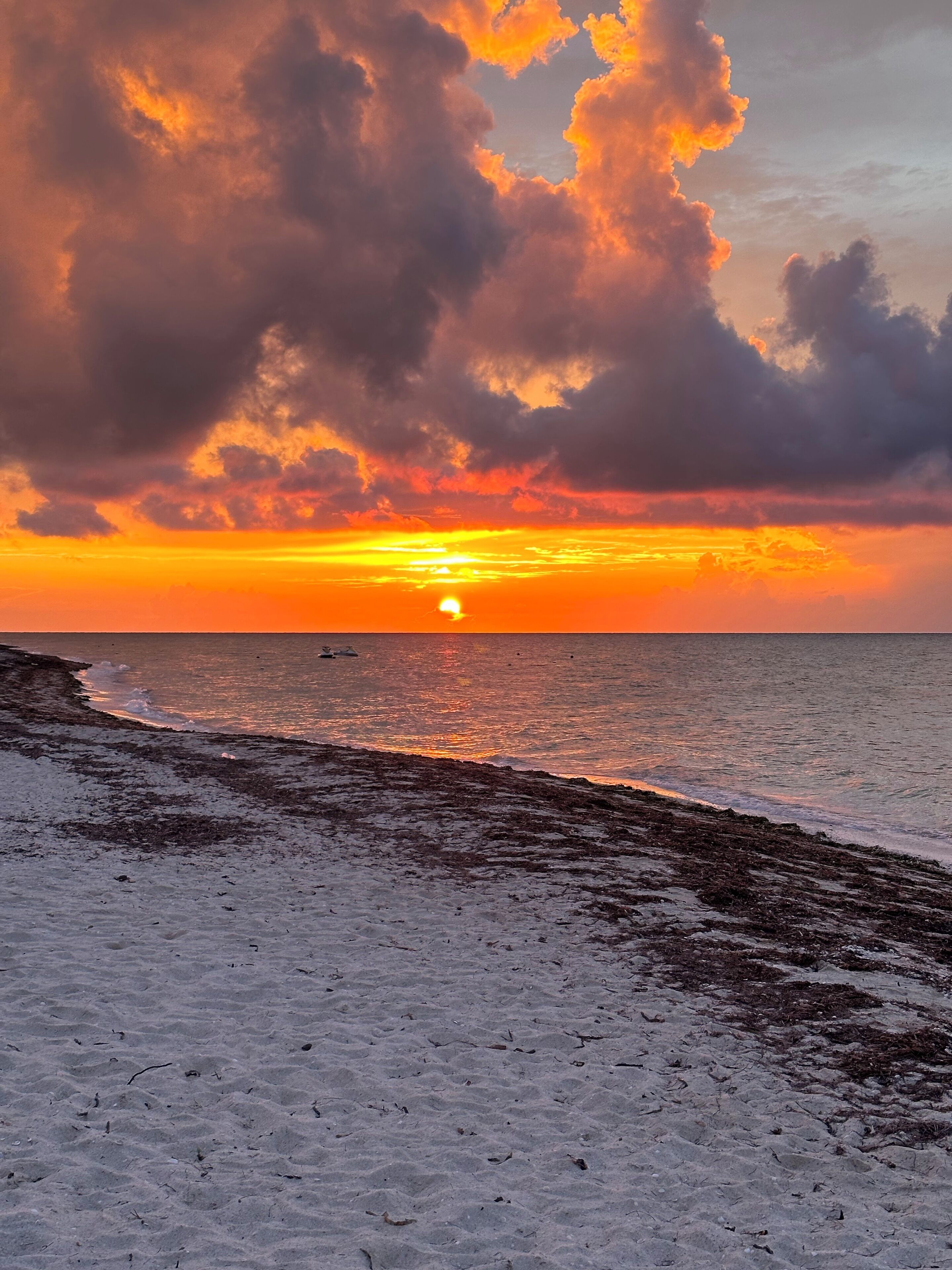 Une plage avec un coucher de soleil sur l’océan.