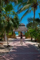 Una playa cerca, camas de playa gratis, sillas reclinables de playa