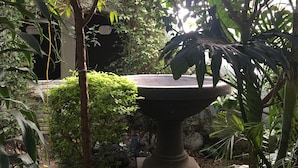 A garden with a stone fountain surrounded by lush greenery and a stone wall. - Hotel Calli Quetzalcoatl (San Pedro Cholula)