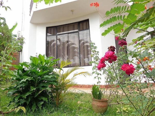 Un edificio blanco con un ventanal grande, rodeado de plantas y flores exuberantes.