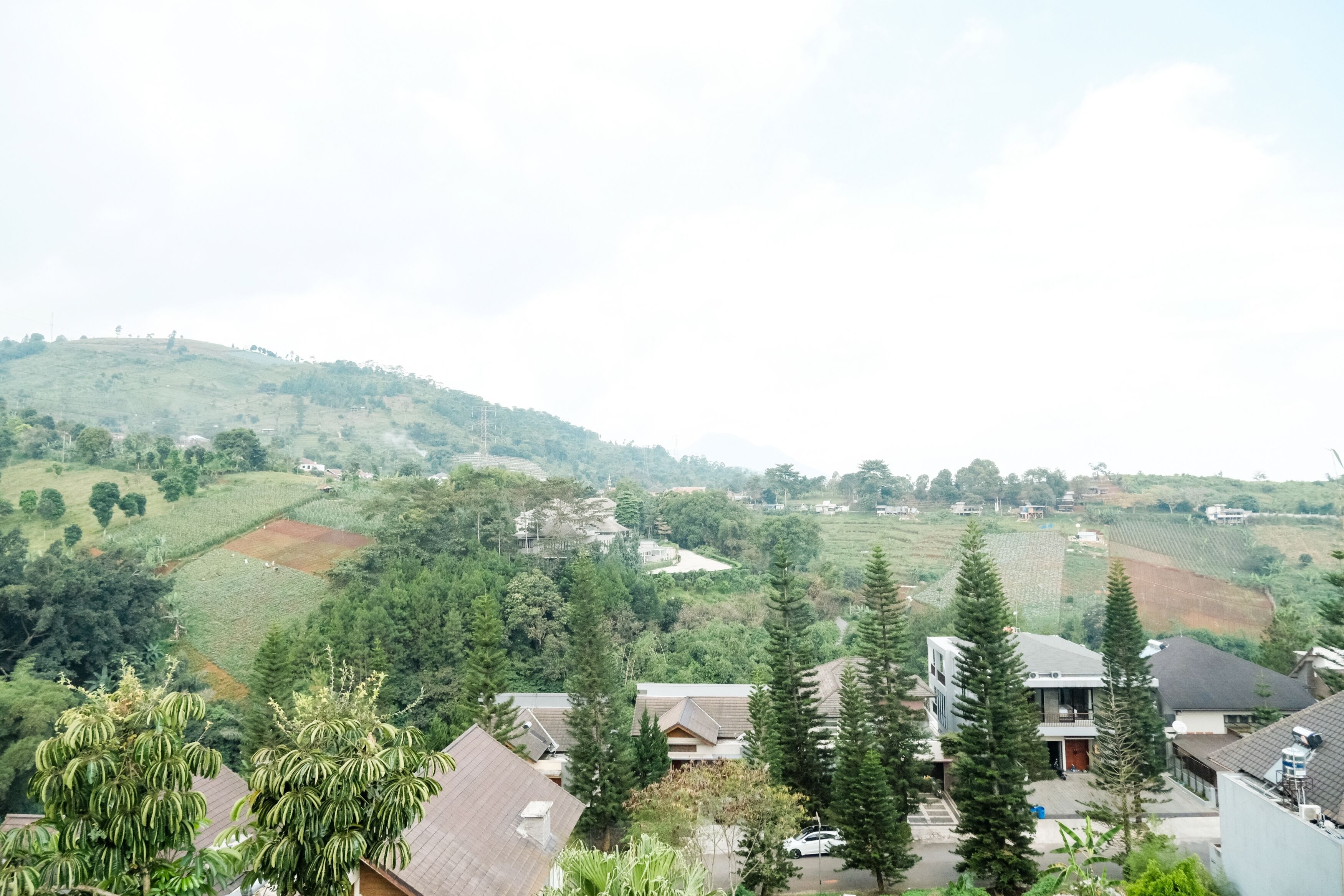 A residential area with houses, trees, and hilly terrain.