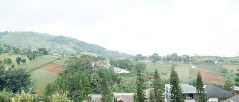 A residential area with houses, trees, and hilly terrain.
