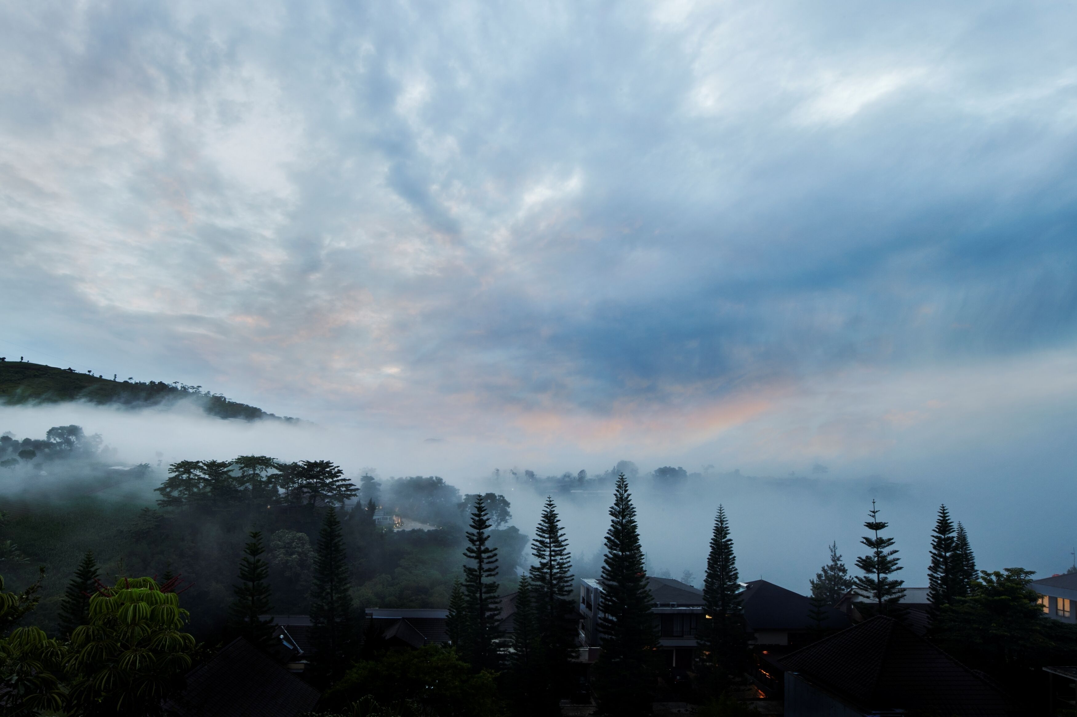 Un paysage montagneux, avec des arbres et des maisons.