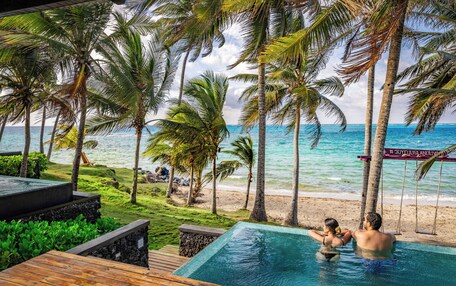A pool area with a view of the ocean and palm trees.