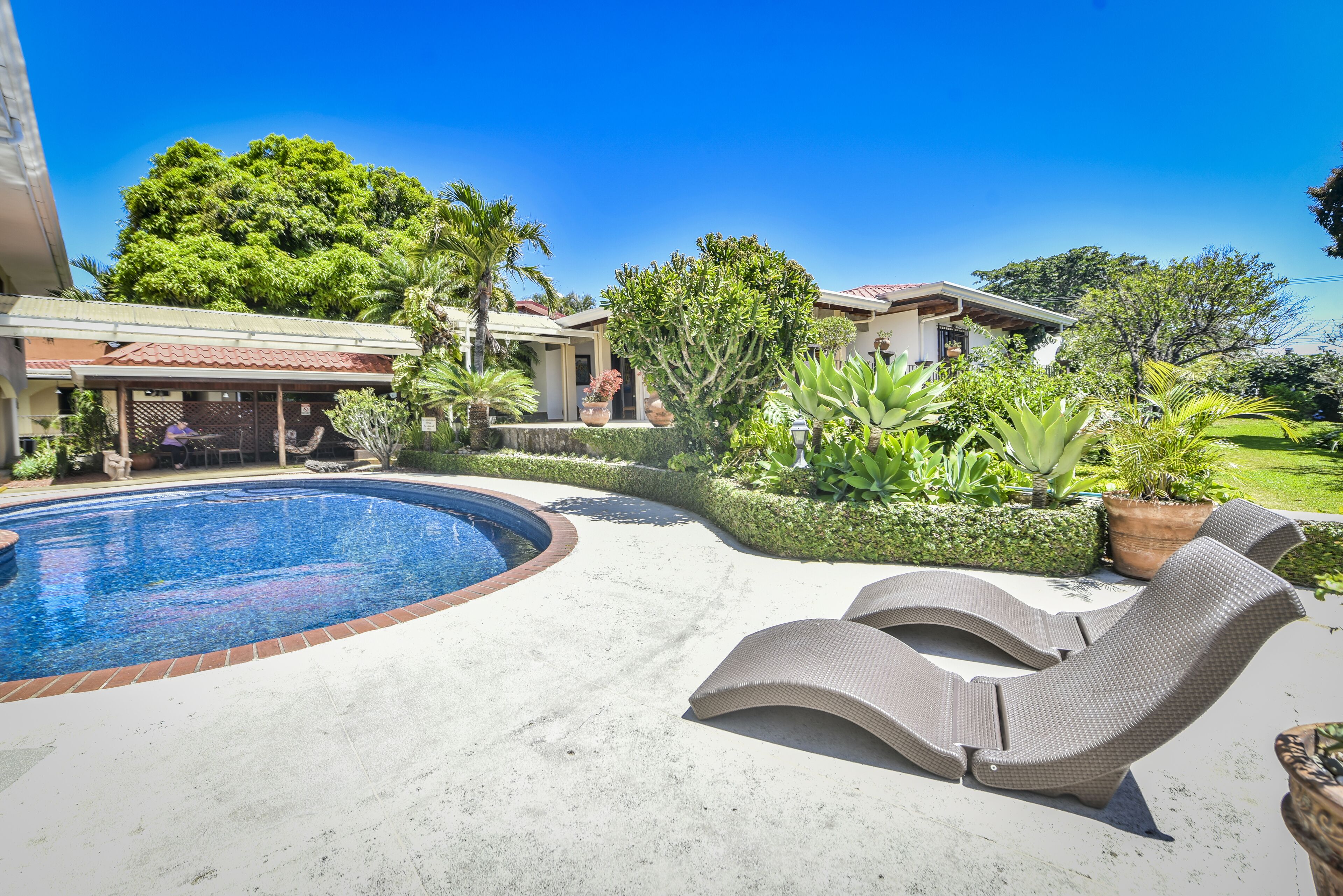 A swimming pool with lounge chairs, surrounded by well-maintained landscaping and a large tree.