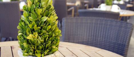 A potted plant on a wooden table in a cafe with wicker chairs and a glass ceiling.