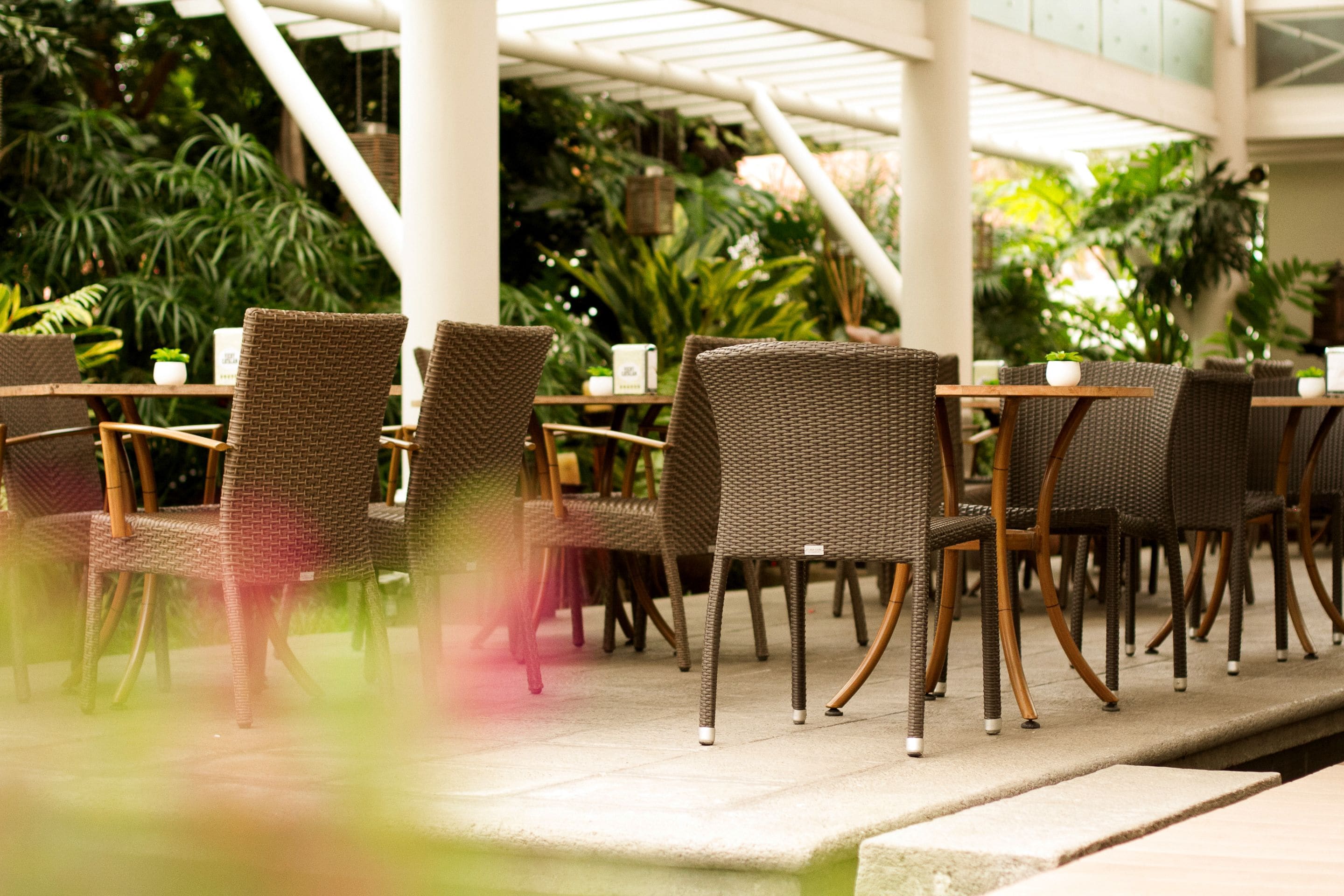 Een overdekt terras met rieten stoelen en tafels, omringd door weelderige beplanting.