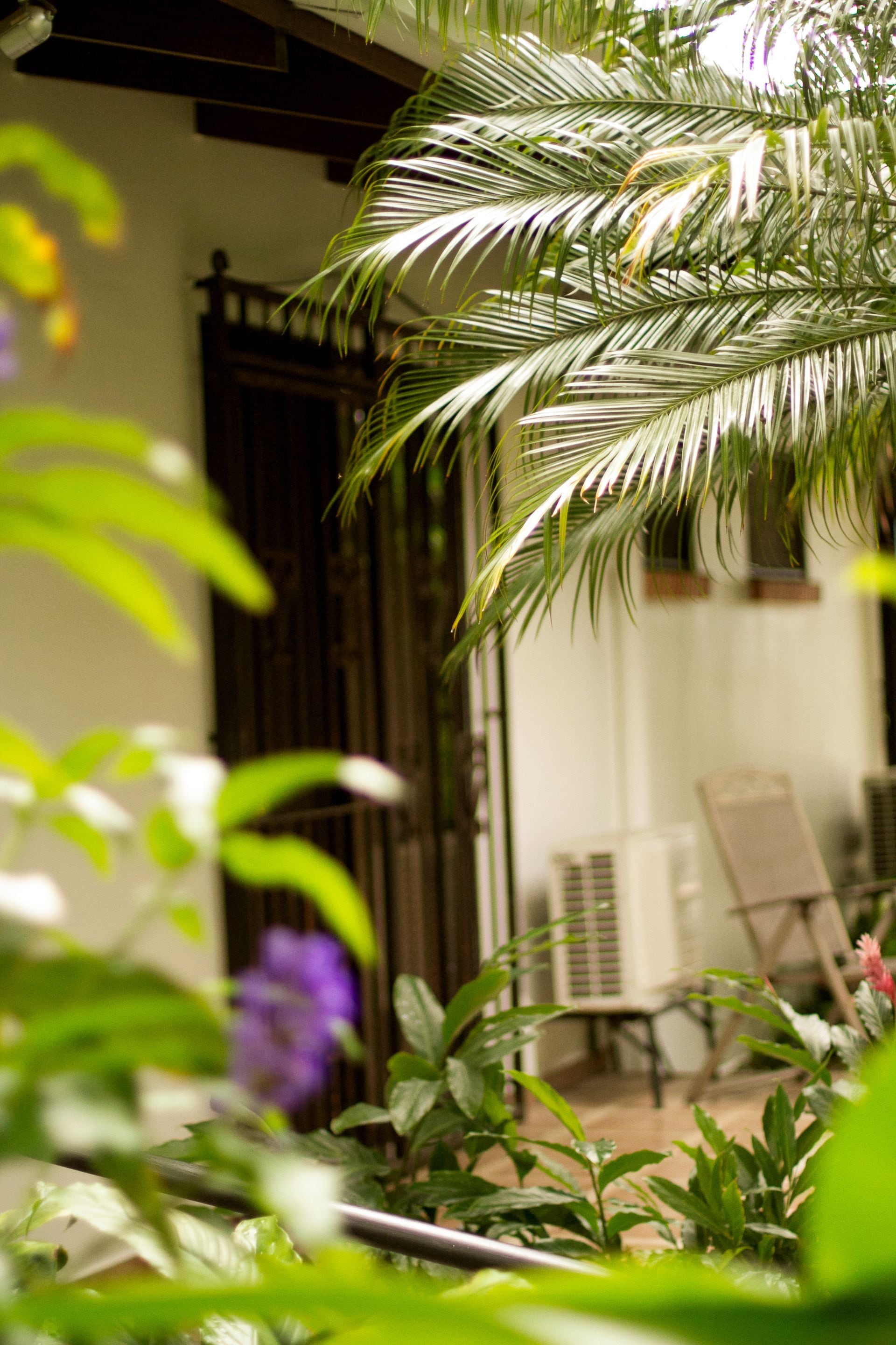 Un patio con una silla y una reja, rodeado de abundante follaje y una flor morada.