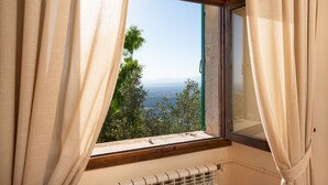 A window with beige curtains, a view of greenery and a distant landscape.