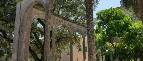 Un arc en pierre antique, soutenu par des colonnes, entouré d’une végétation luxuriante et d’arbres.