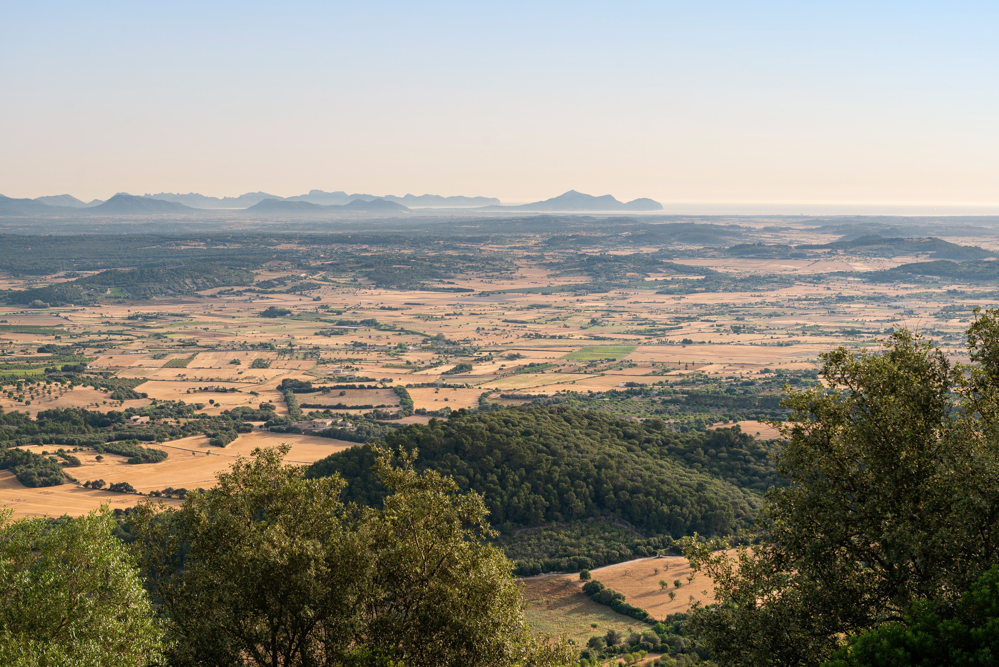 land view from property
