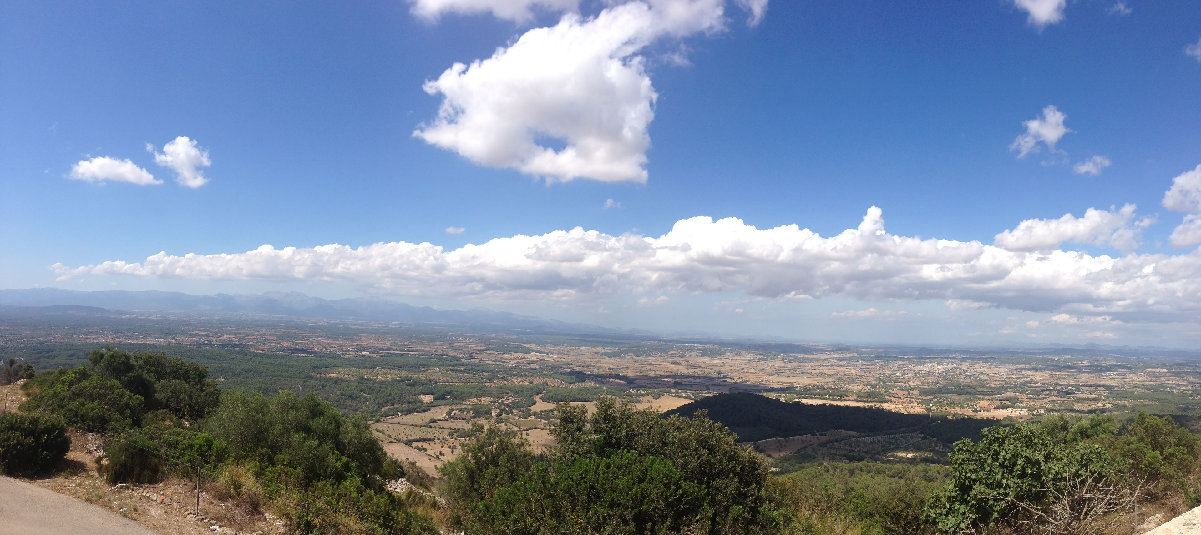 A panoramic view of a valley with scattered trees and a clear sky.