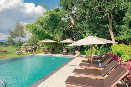 Outdoor pool, pool umbrellas, sun loungers