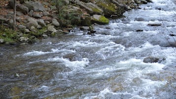 Vissen