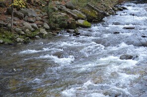 A river with clear water flowing over rocks. - Econo Lodge Inn & Suites On The River (Gatlinburg)