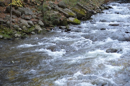 Pesca