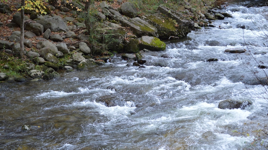 Econo Lodge Inn & Suites On The River
