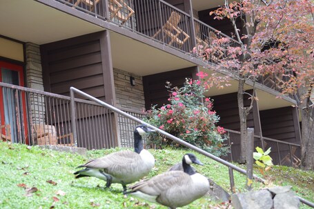 Econo Lodge Inn Suites On The River - Image 32
