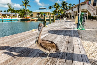 The Reef at Marathon