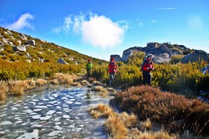 A natural landscape with a clear stream and rocky terrain.