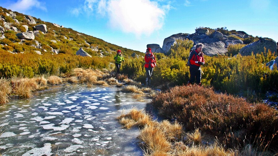 Casa Lagar Da Alagoa