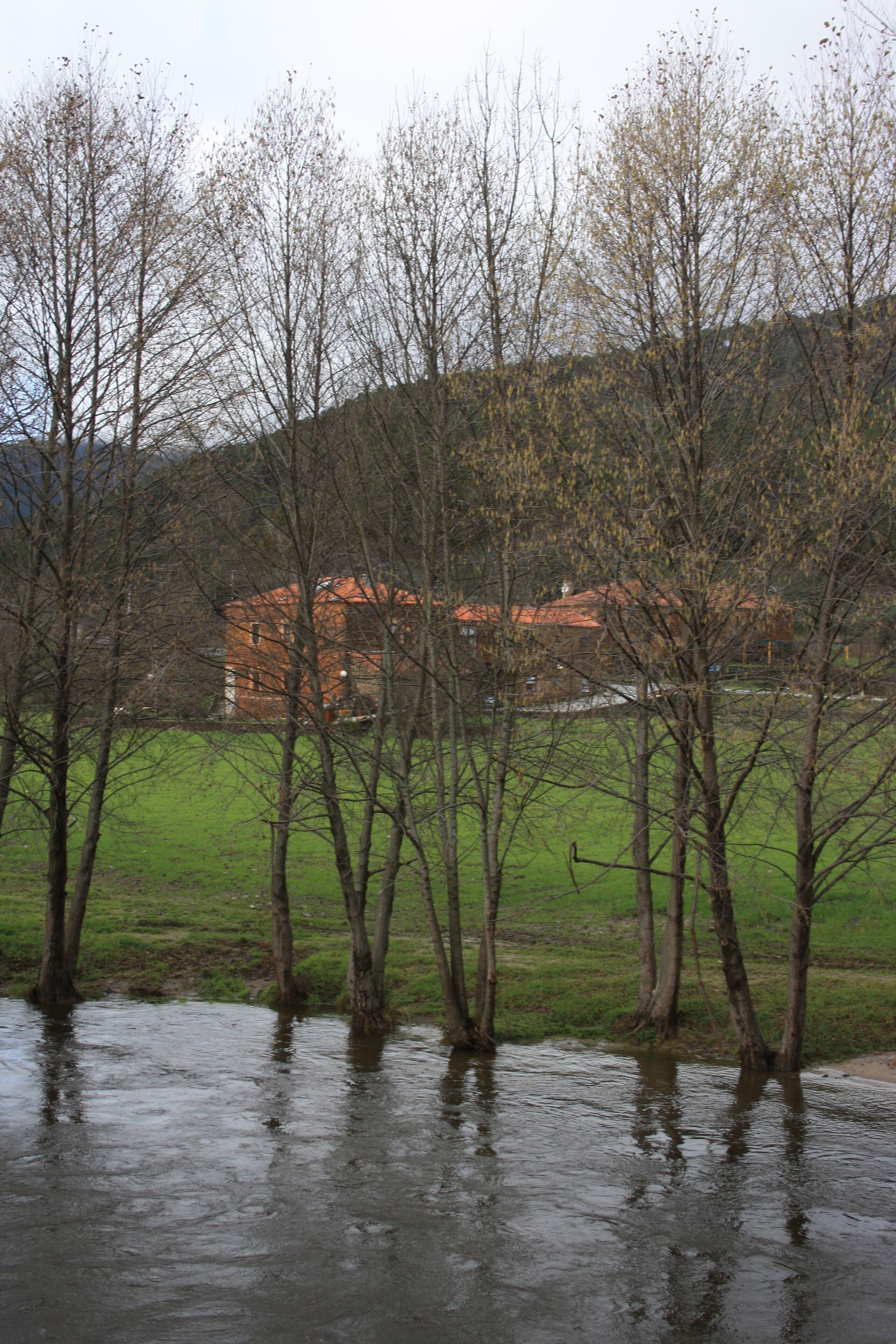 Uma área inundada com árvores e um edifício ao fundo.