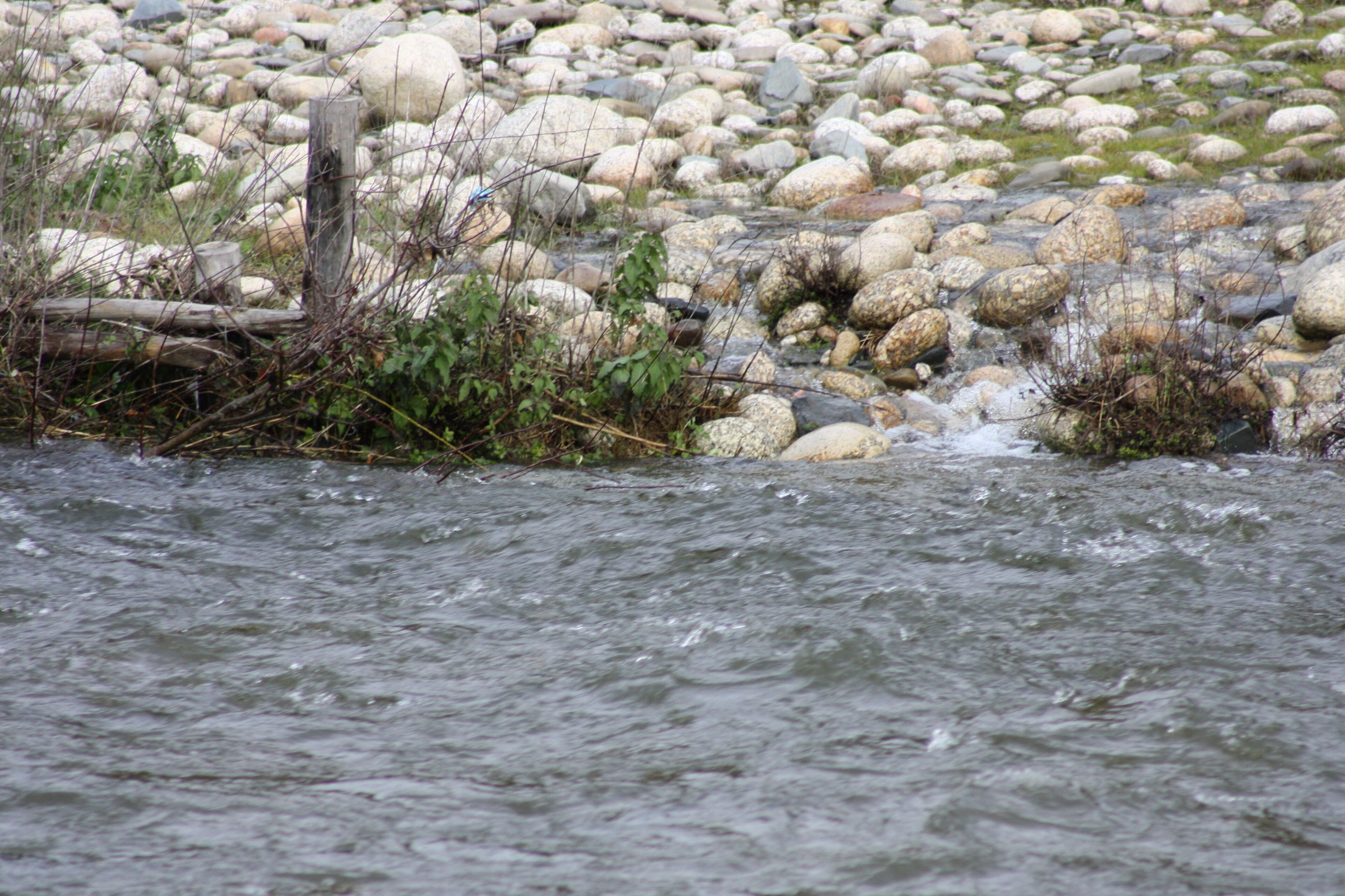 Ein Fluss mit steinigen Ufern und einem Holzpfahl.