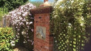 A brick pillar with a decorative urn on top, surrounded by flowering vines and a lattice fence. - Broccoli Bottom (Oakham)