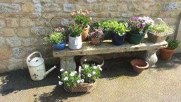 Apartemen, kamar mandi pribadi (Fennel Folly) | Lain-lain