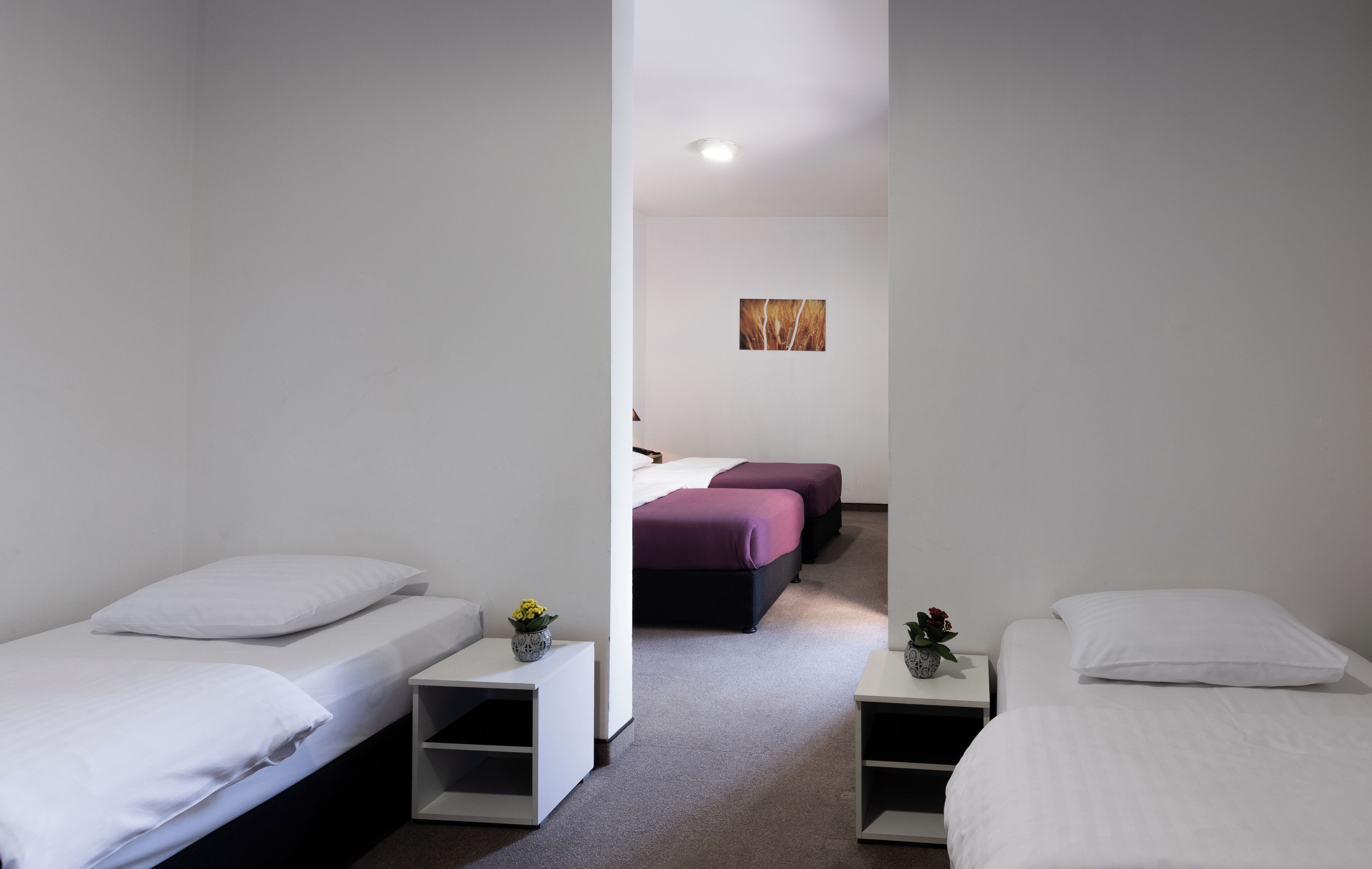 Photo - Nobel Inn Hotel