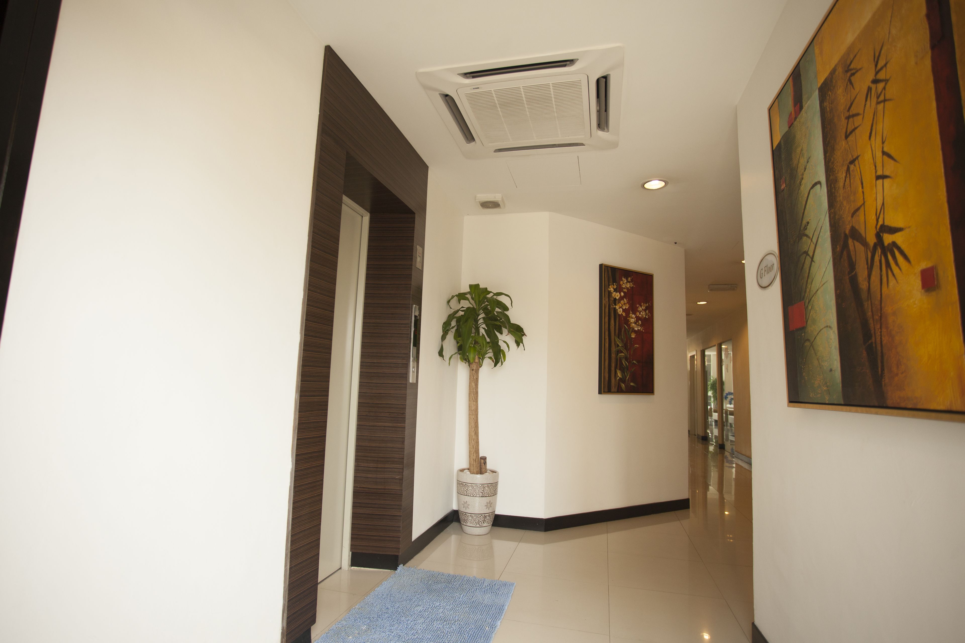A hallway with a potted plant, a painting, and a blue mat on the floor.