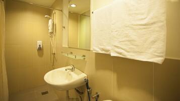 Shower, hair dryer, bidet, towels